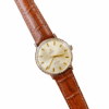 Đồng hồ đeo tay Omega Seamaster kim cọc số vàng automatic