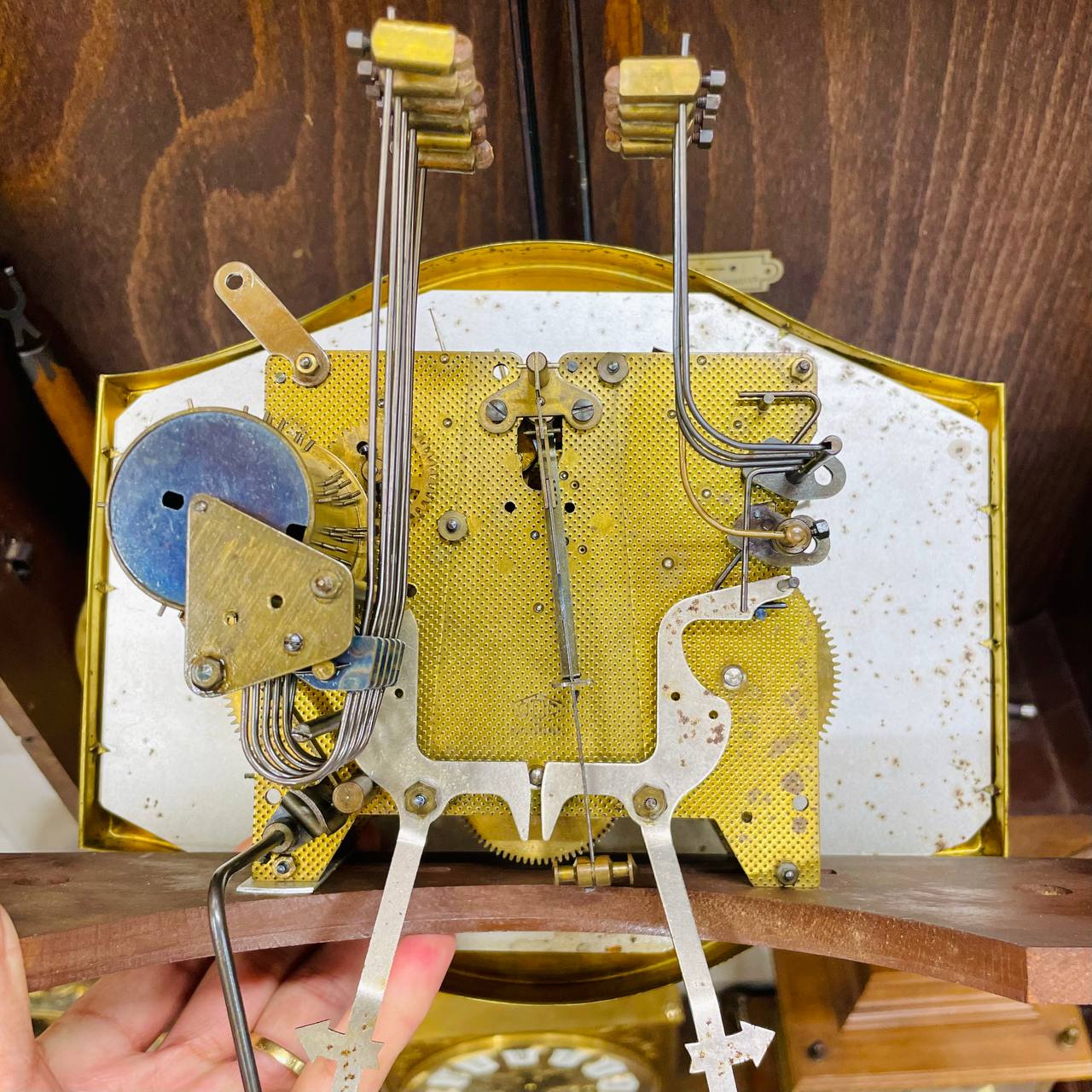 Đồng hồ cổ Odo 57/10 Binh Boong sổ nổi vàng thùng lúa mạch