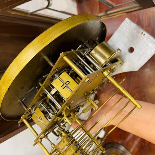 Đồng hồ cổ Vedette 10/10 Kìa con bướm vàng độc quyền - Ảnh 5